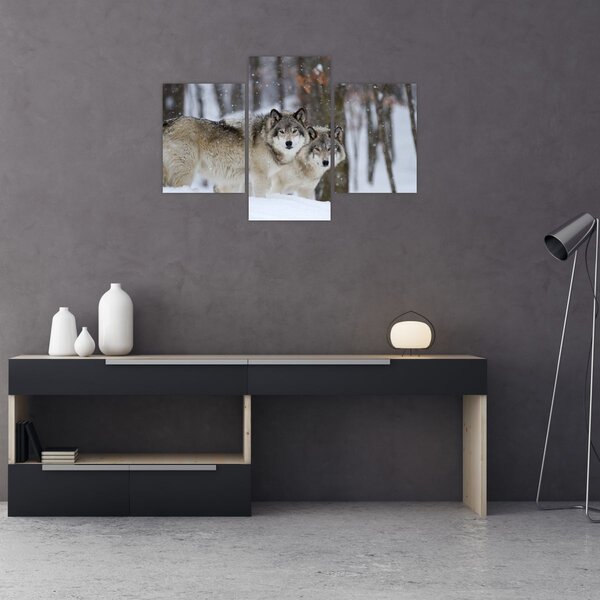 Kép - Farkasok télen (90x60 cm)