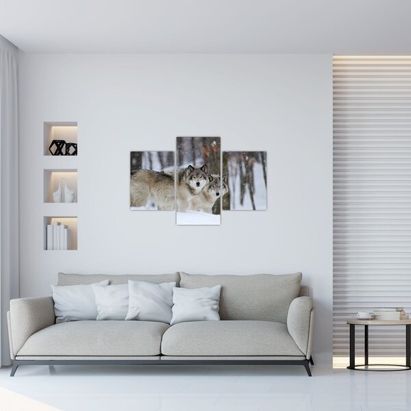 Kép - Farkasok télen (90x60 cm)