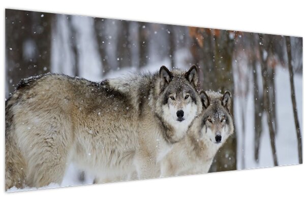 Kép - Farkasok télen (120x50 cm)