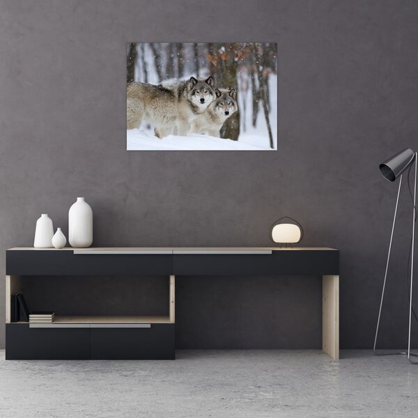 Kép - Farkasok télen (70x50 cm)
