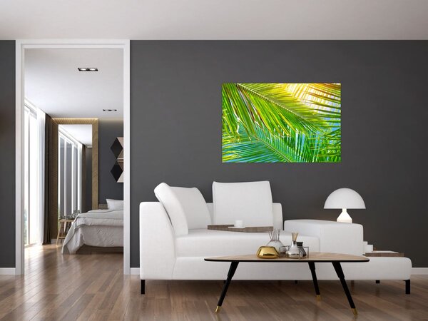 Kép - Pálmalevelek (90x60 cm)