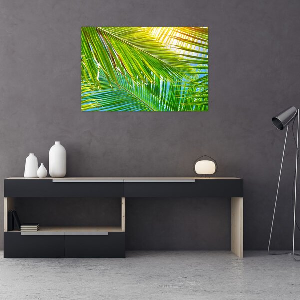 Kép - Pálmalevelek (90x60 cm)