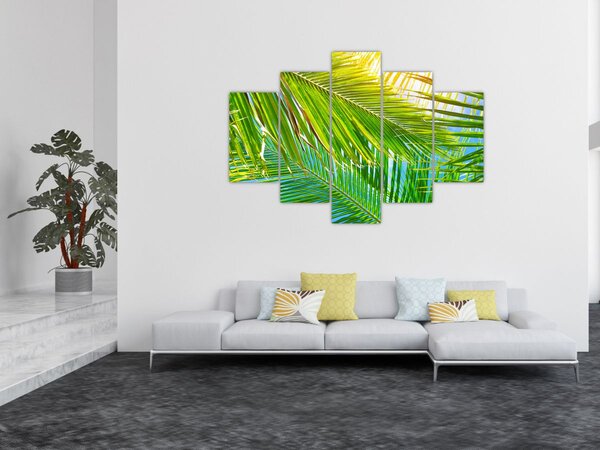 Kép - Pálmalevelek (150x105 cm)