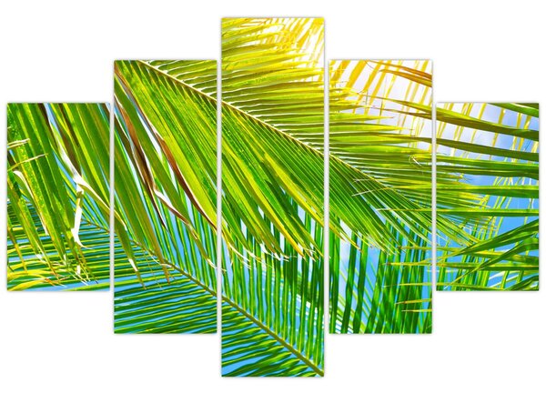 Kép - Pálmalevelek (150x105 cm)