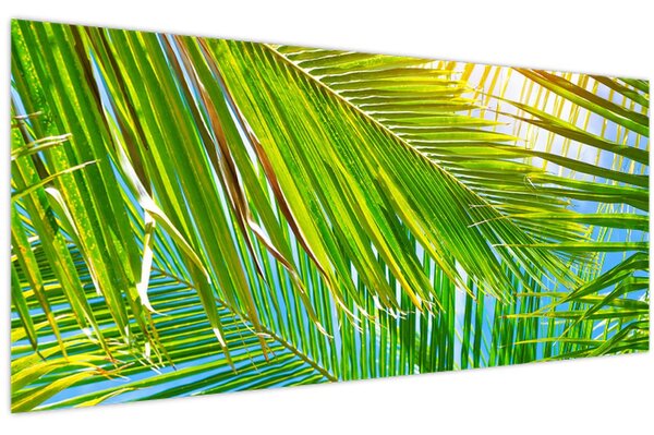 Kép - Pálmalevelek (120x50 cm)