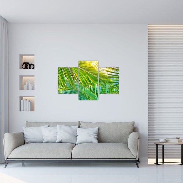 Kép - Pálmalevelek (90x60 cm)