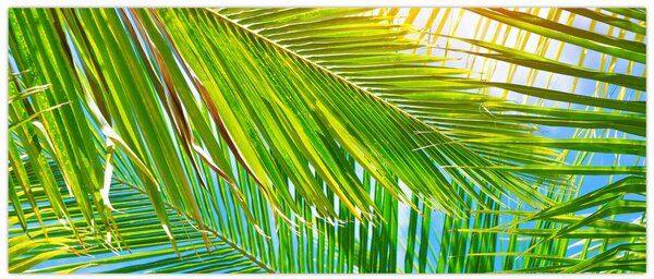 Kép - Pálmalevelek (120x50 cm)