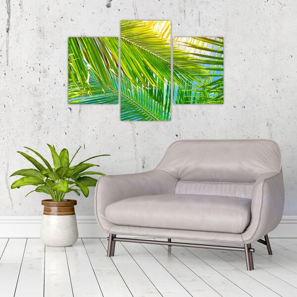 Kép - Pálmalevelek (90x60 cm)