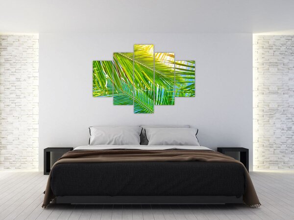 Kép - Pálmalevelek (150x105 cm)