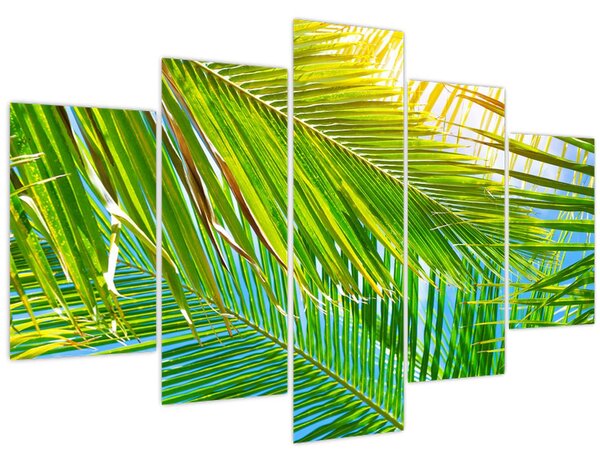 Kép - Pálmalevelek (150x105 cm)