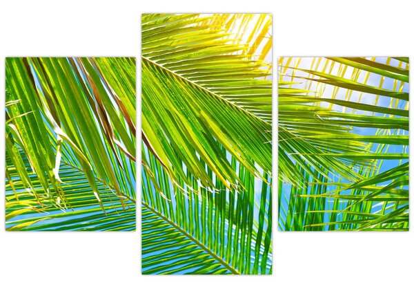 Kép - Pálmalevelek (90x60 cm)