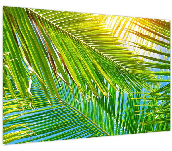 Kép - Pálmalevelek (90x60 cm)