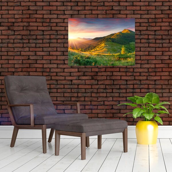 Kép - Nyári táj (70x50 cm)