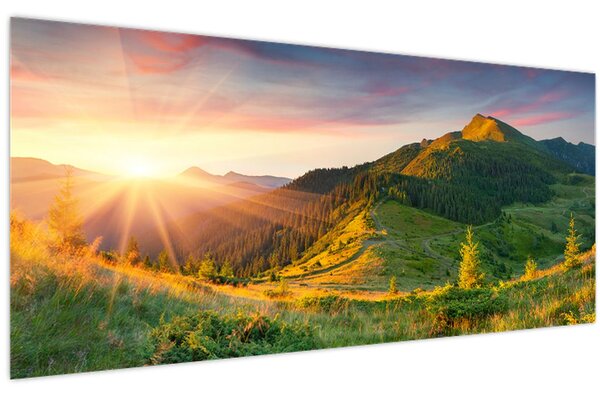 Kép - Nyári táj (120x50 cm)