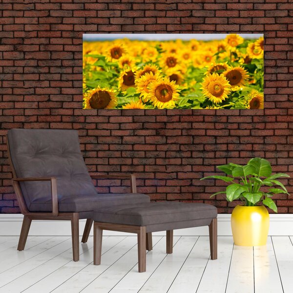 Kép - Napraforgók (120x50 cm)