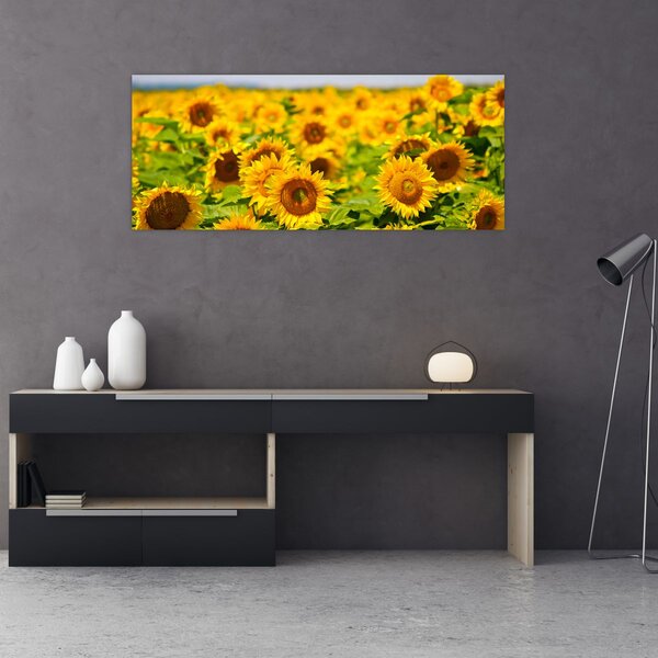 Kép - Napraforgók (120x50 cm)