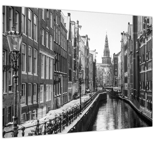 Kép - Hollandia (70x50 cm)