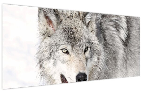 Kép - Farkas a természetben (120x50 cm)