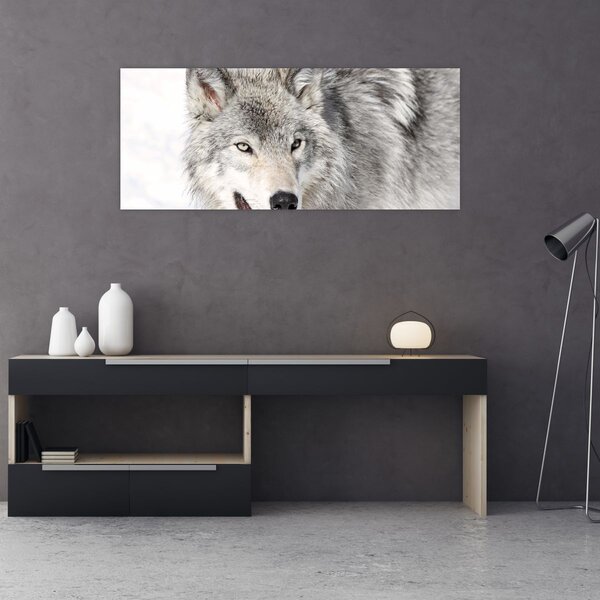 Kép - Farkas a természetben (120x50 cm)