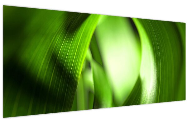 Kép - Egy fűszál (120x50 cm)
