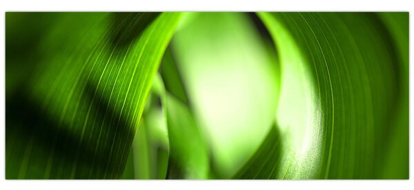 Kép - Egy fűszál (120x50 cm)