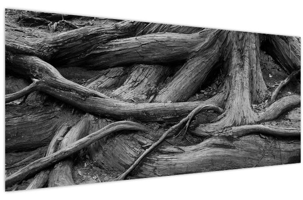 Kép - A fa gyökerei (120x50 cm)
