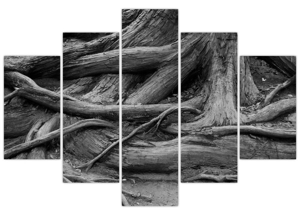 Kép - A fa gyökerei (150x105 cm)