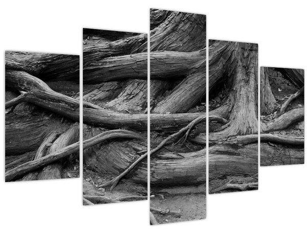Kép - A fa gyökerei (150x105 cm)