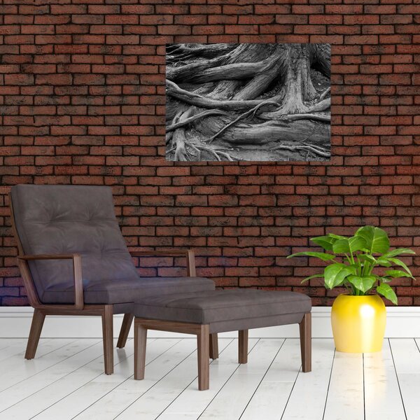 Kép - A fa gyökerei (70x50 cm)