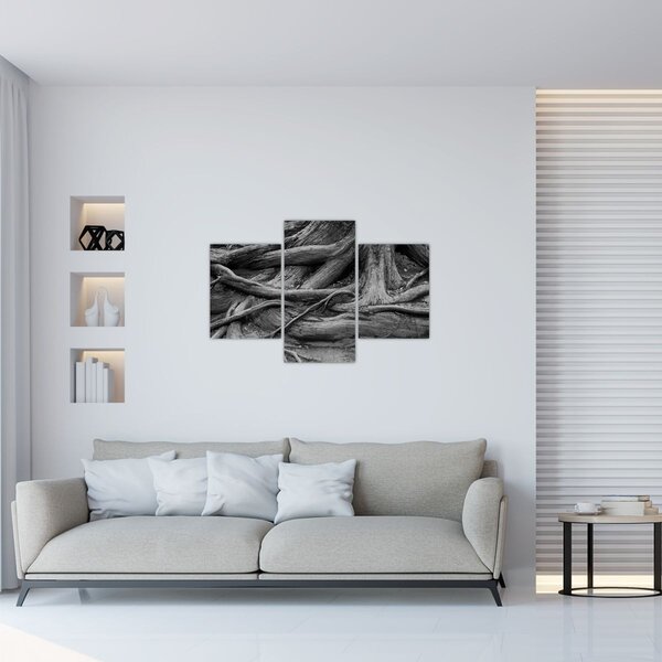 Kép - A fa gyökerei (90x60 cm)