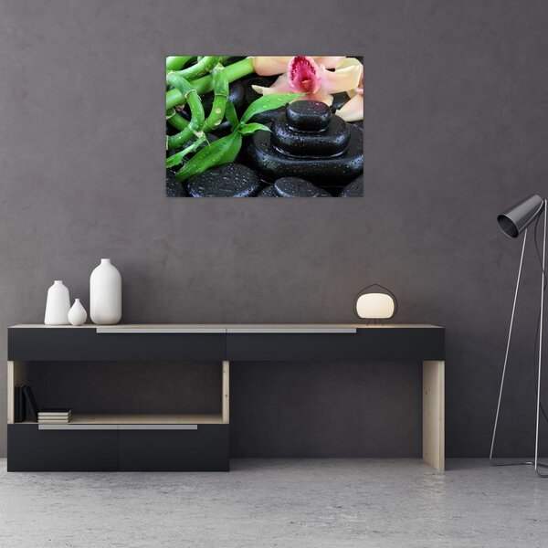 Kép - Kövek és orchideák (70x50 cm)