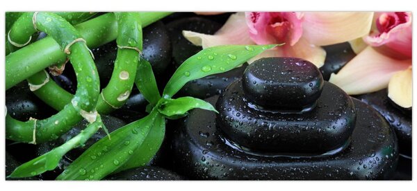 Kép - Kövek és orchideák (120x50 cm)