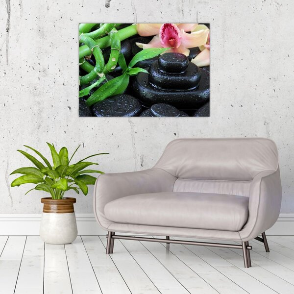 Kép - Kövek és orchideák (70x50 cm)