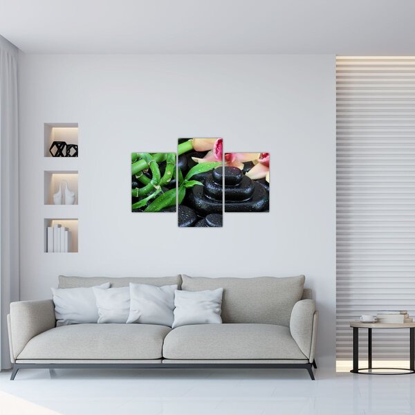 Kép - Kövek és orchideák (90x60 cm)