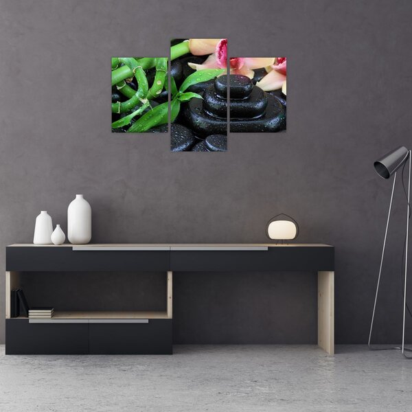 Kép - Kövek és orchideák (90x60 cm)