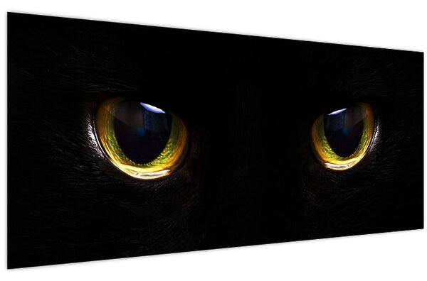 Kép - Macskaszemek (120x50 cm)