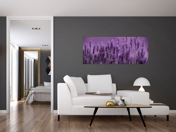 Kép - Levendula (120x50 cm)