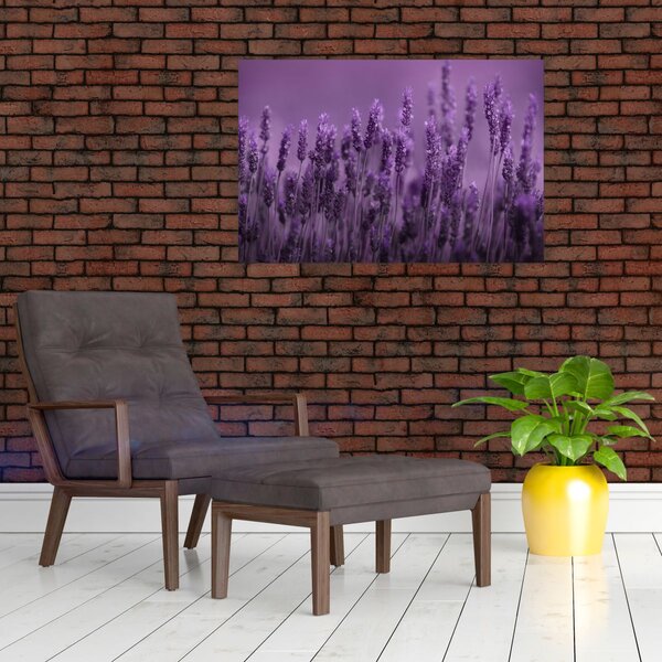 Kép - Levendula (90x60 cm)