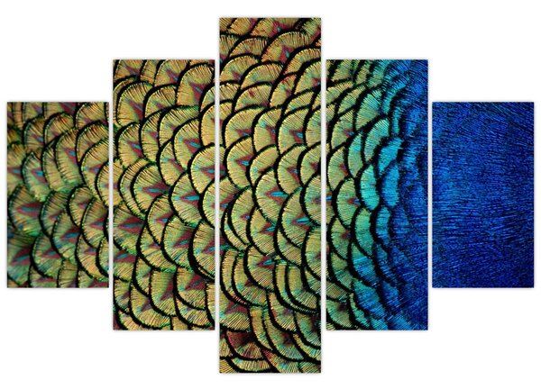 Kép - Pávatollak (150x105 cm)