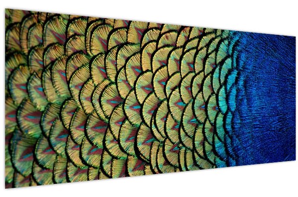 Kép - Pávatollak (120x50 cm)