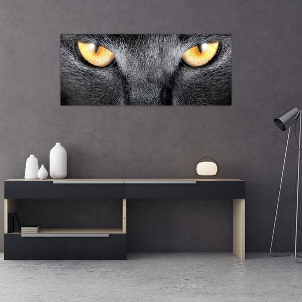 Kép - Közeli portré egy macskáról (120x50 cm)