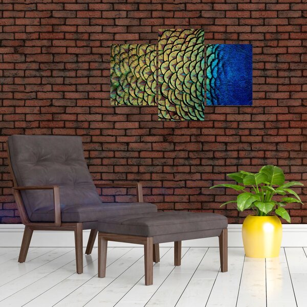 Kép - Pávatollak (90x60 cm)