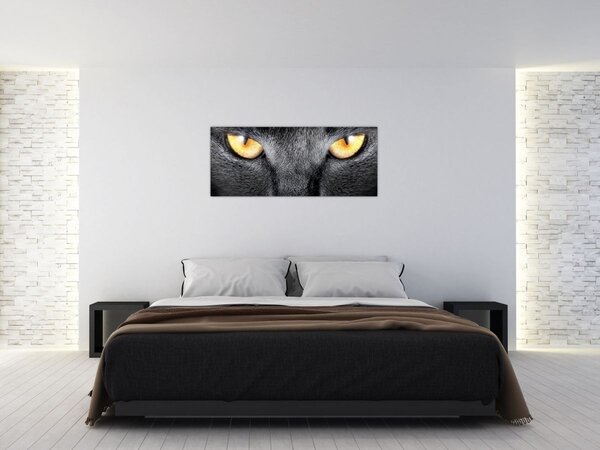 Kép - Közeli portré egy macskáról (120x50 cm)