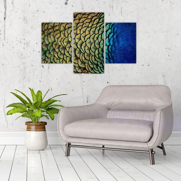 Kép - Pávatollak (90x60 cm)