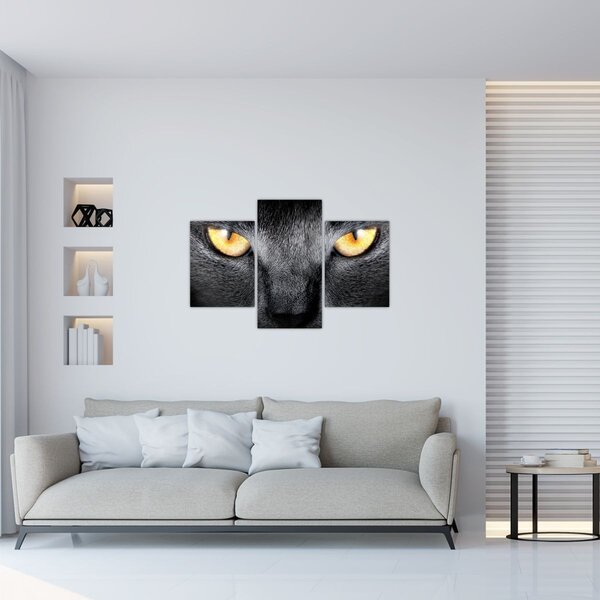 Kép - Közeli portré egy macskáról (90x60 cm)