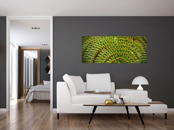 Kép - Fern (120x50 cm)