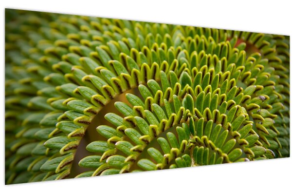 Kép - Fern (120x50 cm)