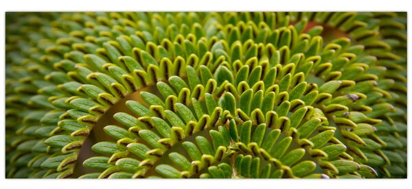 Kép - Fern (120x50 cm)