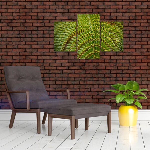 Kép - Fern (90x60 cm)