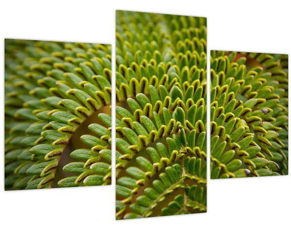 Kép - Fern (90x60 cm)